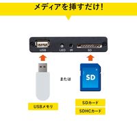 サンワサプライ メディアプレーヤー MED-PL2 1台（直送品）