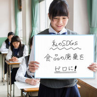 マグエックス アプライホワイトボード 方眼入 300×420mm MAWB-3042B-Y 1枚