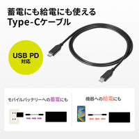サンワサプライ USB PD対応モバイルバッテリー(20100mAh・PD45W) BTL-RDC26 1個（直送品）