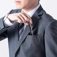 サンワサプライ Bluetoothペン型マウス(充電式) MA-PBB317DS 1個