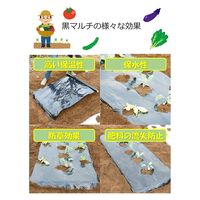 岩谷マテリアル 岩谷 菜園用黒マルチ 0.02mm×1350mm×50m 2100735 1巻（直送品）
