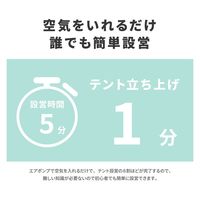 ラプラス MRー001-RGミクルーム エア ソロ RG　1張（直送品）