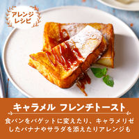 片岡物産 バンホーテン キャラメルシロップ 1個（630g）