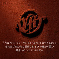 片岡物産 バンホーテンの快眠ココア 1袋（100g）