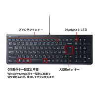 有線キーボード USB Type-C接続/薄型/フルキー/スリムキーボード SKB-SL31CBK 1個 サンワサプライ（わけあり品）