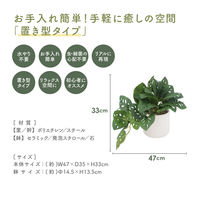 不二貿易 フェイクグリーン モンステラ セラミックポット 41139 1個