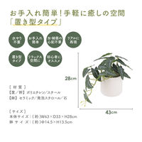 不二貿易 フェイクグリーン アロカシア セラミックポット 41138 1個