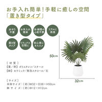 不二貿易 フェイクグリーン パナマソウ セラミックポット 41129 1個