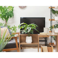 不二貿易 フェイクグリーン パキラ セラミックポット 41128 1個