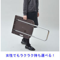 【台車】 YAMAZEN 折りたたみ台車 CARRYお手軽 OTG-E50DB*R 1台