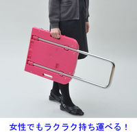 【台車】 YAMAZEN 折りたたみ台車 CARRYお手軽 OTG-E50RP*R 1台