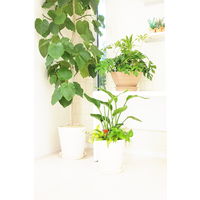 【園芸用品】アップルウェアークラフトポット 40型 ホワイト 26L 400mmΦ×390mm 鉢 ガーデニング