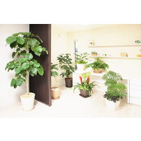 【園芸用品】アップルウェアークラフトポット 40型 ダークブラウン 26L 400mmΦ×390mm 鉢 ガーデニング