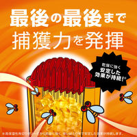 コバエがホイホイ スリム コバエ いなくなる 誘引剤 駆除剤 コバエ取り 置き型 退治 対策 1セット（3個） アース製薬