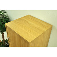 エイ・アイ・エス 2ドア収納ボックス ナチュラル 幅395×奥行380×高さ1667mm GTBX-002 NA 1台（直送品）