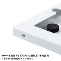 【処分品】サンワサプライ iPad用壁面取付けケース CR-LASTIP26W 1台（直送品）