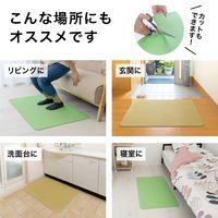 サンコー お風呂洗い場マット 薄い 滑り つまずき予防 両面ずれにくい 防水 1個 60×90cm グリーン AF-10