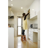 トレードワン セノビーのっぽ君 ブラウン 10051 1台