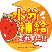 サントリー GREEN DA・KA・RA（グリーン ダカラ）塩 ライチ＆ヨーグルト（冷凍兼用）490ml 1セット（48本）