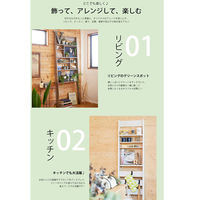 白井産業 トイコス ビンテージ調壁掛けディスプレイラック（壁固定式） ラダータイプ ブラウン 幅444×奥行182×高さ1917mm 1台（直送品）