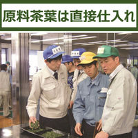 【水出し可】伊藤園 おーいお茶 抹茶入り緑茶 1セット（100g×3袋）