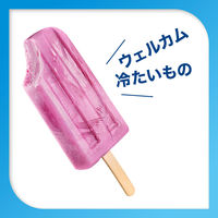 歯磨き粉 フッ素 シュミテクト やさしくホワイトニングEX 95g Haleonジャパン 薬用高濃度フッ素配合