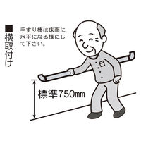 清水 いたわりエコ手すり ディンプル 直棒エンドブラケット 600（箱） SO-TD3-600（直送品）