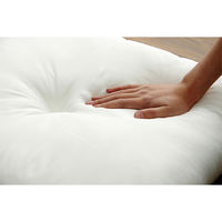 イケヒコ・コーポレーション ヌード 45角シート IV 約45×45cm 1210660000000 1組(2個)