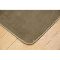 イケヒコ・コーポレーション ピオニーHCC IT BE 約185×185cm 1380000000000 1枚