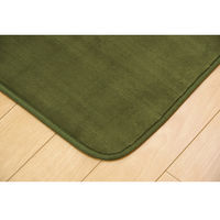 イケヒコ ラグ 3畳 洗える 抗菌 防臭 『ピオニー』 グリーン 約2000×2500mm 1枚（直送品）