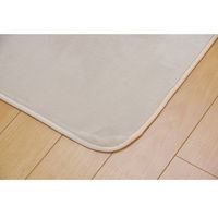 イケヒコ・コーポレーション ピオニーHCC IT IV 約200×300cm 1380000001364 1枚