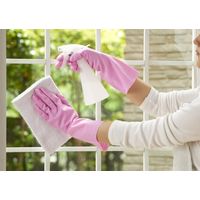 【ビニール手袋】 ショーワグローブ ナイスハンドミュー中厚手 NHMIC-SP ピンク 1双