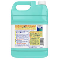 カビキラー カビ取り 業務用 詰め替え用 5kg 1ケース(3個入) カビ取り用洗浄剤 詰め替え カビ除去スプレー お風呂掃除 ジョンソン