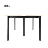 サンワサプライ フリーアドレスデスク(W2700mm) EHD-MTG270100LM 1台（直送品）