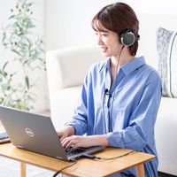 サンワサプライ 高性能USBピンマイク MM-MCU12BK 1個