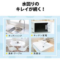 【アウトレット】【Goエシカル】訳あり ウェットティッシュ 60枚 除菌 フッ素コート アルコール メッシュ HA-WCKC60 エレコム 1個