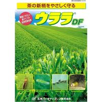 石原バイオサイエンス 石原バイオ ウララドライフロアブル 250g 2056892 1袋（直送品）