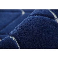 イケヒコ グラース 玄関マット 550×850mm ネイビー 1310970195001 1枚（直送品）