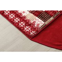 イケヒコ リーチェ こたつ布団 大判省スぺース 1900×2500mm レッド 1171400244621 1枚（直送品）