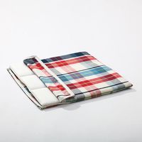 イケヒコ 中身い草のシート 400×400mm 1360230010101 1枚（直送品）