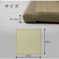 イケヒコ 貼る畳 670×670mm 1111271010601 1枚（直送品）