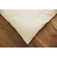 イケヒコ ヌード こたつ布団 2000×2500mm ベージュ 1330720020802 1枚（直送品）