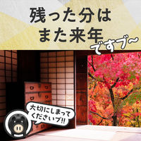 アースノーマット 蚊とり 黒ブタ 無香料 180日セット 1個（本体1個+取り替えボトル1本） 電子蚊取り器 アース製薬
