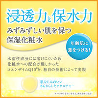DHC Q10ローションSS 60ml 保湿化粧水・化粧液・コエンザイムQ10 ディーエイチシー