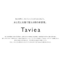 【アウトレット】Taviea（タヴィア） ピュアハイドレーター ef エルダーフラワー 150g BCL カンパニー