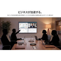 ジャパンネクスト 50インチ 4K液晶ディスプレイ 3840x2160 VA HDMIx3 5年保証 JN-V50U2-M-H5（直送品）