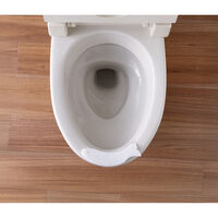 サンコー toilet キレイまもりマス 60個入 555492 1個（直送品）