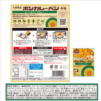 大塚食品 ボンカレーベジ ビーンズキーマカレー 中辛 180g 1セット（10個） レンジ対応