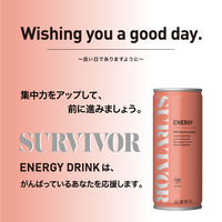 【エナジードリンク】富永貿易 サバイバー エナジードリンク 250ml 1セット（6缶）