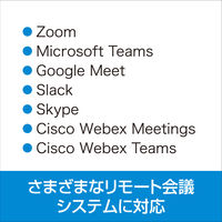 KAIGIO CAM360 360°Webカメラ マイク・スピーカー内蔵 オートフォーカス KGC1-BK ソースネクスト